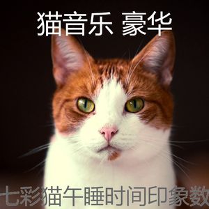 微妙的睡猫心情