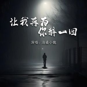 让我再为你醉一回
