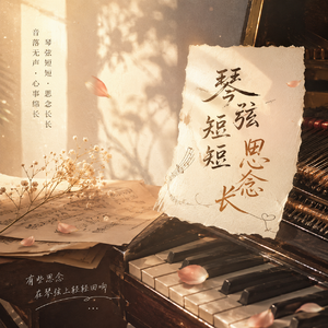 琴弦短短思念长（那个有故事的人）