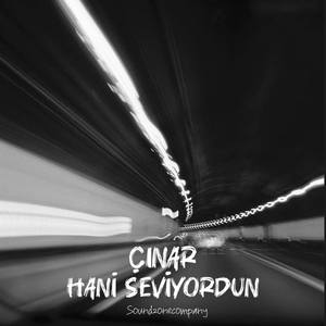 Hani Seviyordun