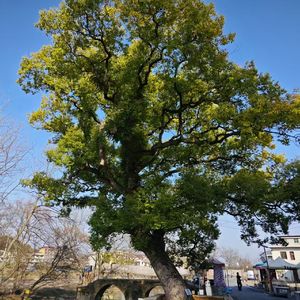 二十岁的某一天