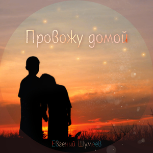 Провожу Домой