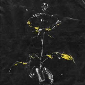 Golden Flower (feat. Kvr.)