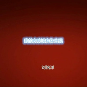 我的夜晚没有你出现