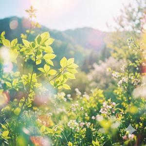 이러다 여름 오면