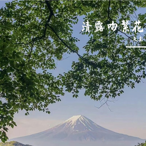 清露吻繁花
