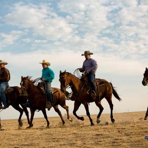 Ridin' The Range (Country Instrumental Beat)