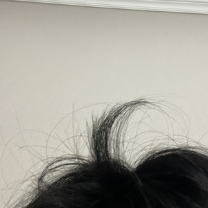 短视