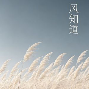 风知道我的名字