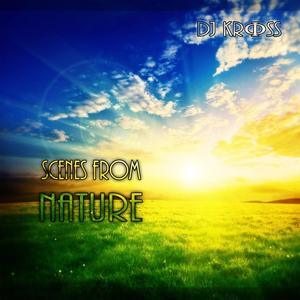 Counting Shooting Stars