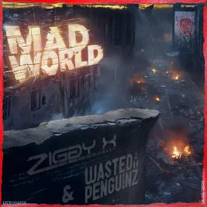 Mad World (DJ Version)
