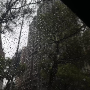 错过太阳 别错过月亮和星星