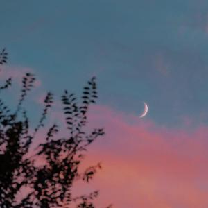 所念皆星河（卡林巴）