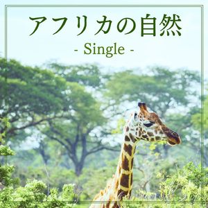 アフリカの自然