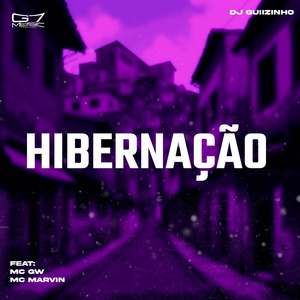 Hibernação