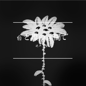 灰かぶり、硝子の夢