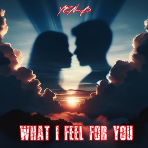 What I Feel For You