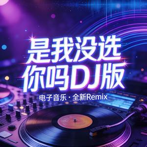 是我没选你吗DJ版.mp3