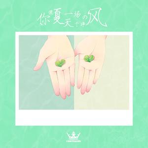 你像夏天一场干净的风