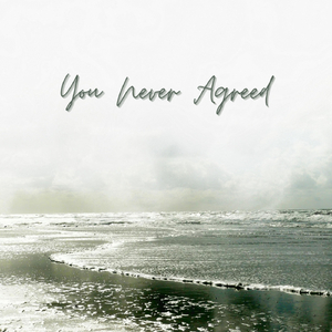You Never Agreed