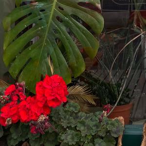 Lifetimes (feat. Zelda)