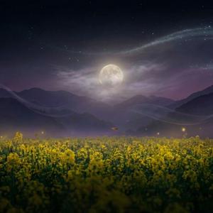 Oborozukiyo (528Hz Zen Koto Mix)