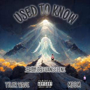 Used to know (feat. MDDM & Tyler Wave)