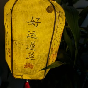 孤独的悲伤