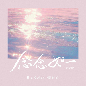 念念如一(节奏版)