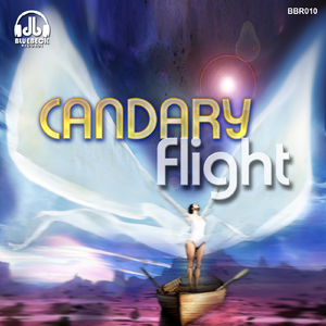 Flight (Candary Remix)