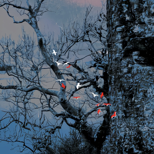 问长缨（0.9x宿命感）