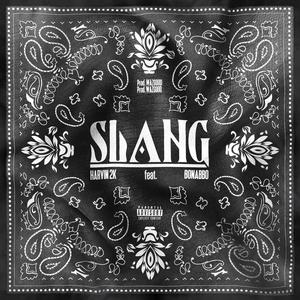 SLANG (feat. Bonabbo)