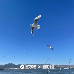 迷幻激情高速曲 V2