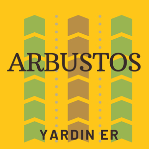 Arbustos