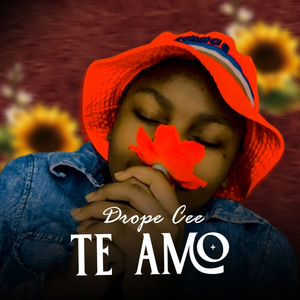 Teamo