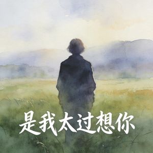 是我太过想你