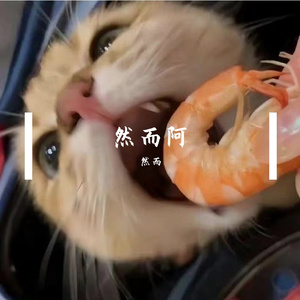 一场游戏一场梦