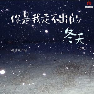 你是我走不出的冬天(DJ版)