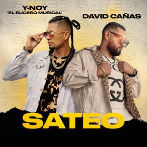 Sateo (feat. David Cañas)