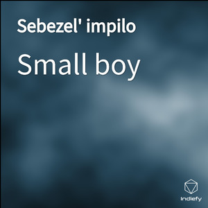 Sebezel' impilo