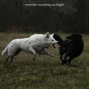 the things i love are killing me.