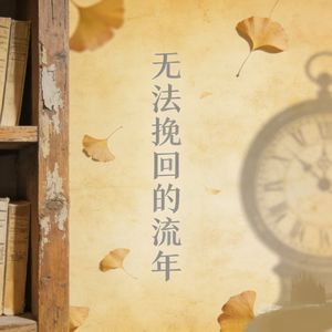 无法挽回的流年