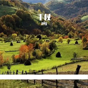 手杖-整曲 伴奏