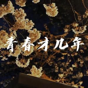 青春才几年
