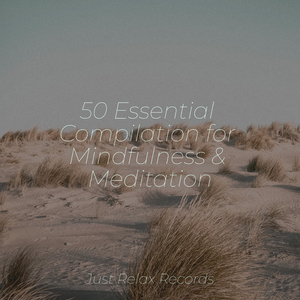 Midnight Caravan's Dream