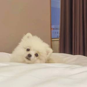 他比悲伤更悲伤