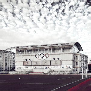 【五维介质】台城柳