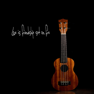 Love Is Friendship Set On Fire