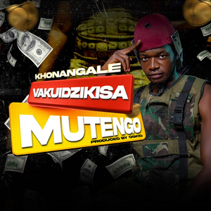 Vakuidzikisa Mutengo