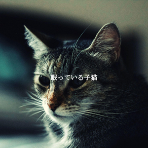 Mellow Moods for Chilly Evening